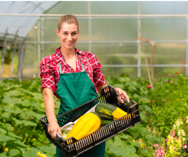 Les petits ambassadeurs : à la recherche de producteurs ou transformateurs agroalimentaires