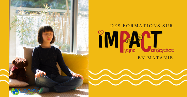 Les formations Impact Pleine Conscience