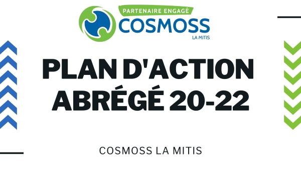 Plan d'action abrégé 20-22