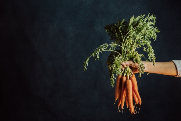 Conférences gratuites sur le potager 