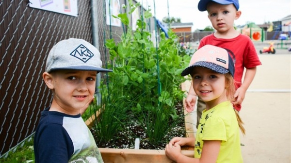 Saine alimentation pour tous : revue de presse sur les initiatives de l'été!