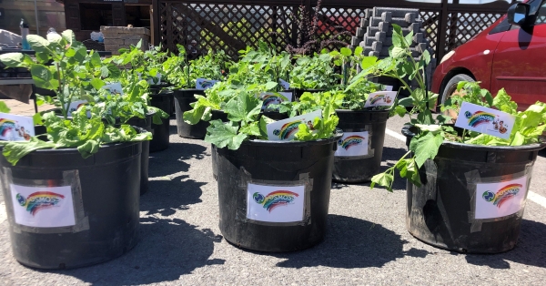 Bacs de jardinage offerts aux familles