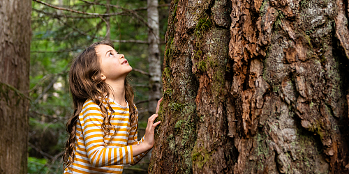 Nouvelle initiative : Défi pédagogie par la nature pour nos ressources éducatives!